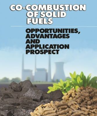 Co-combustion of solid fuels: opportunities, advantages and application prospect